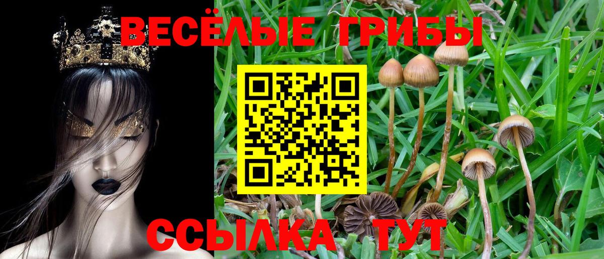 Псилоцибиновые грибы прущие грибы  Вход с VPN  продажа наркотиков  Кашира  Галлюциногенные грибы MAGIC MUSHROOMS 