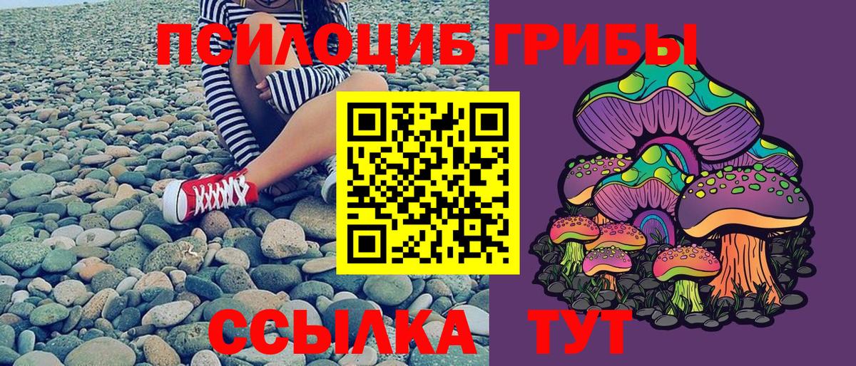 Галлюциногенные грибы Psilocybine cubensis Кашира